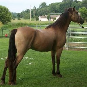 Meet your Posher, Gina